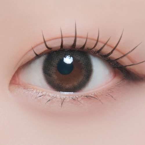 MiiYuu Noir Brown Daily Color Contact Lenses Canada