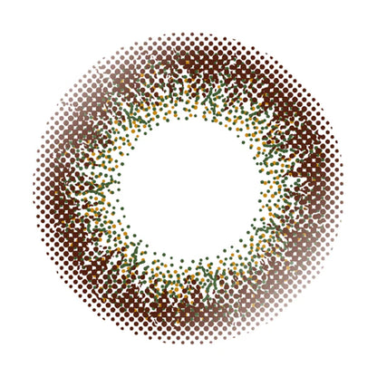 ENVIE Olive Brown daily disposable natural look lenses