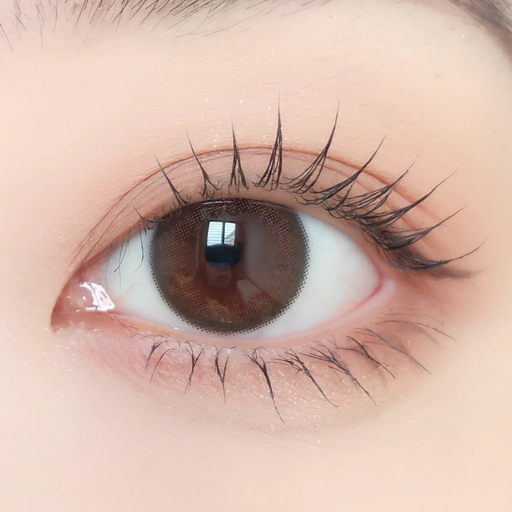 Maroon Color Contacts ENVIE Maroon Black 1 Day Color Contact Lenses | Canada β Master Color