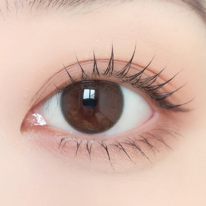 ENVIE Maroon Black maroon black color contacts defined edge