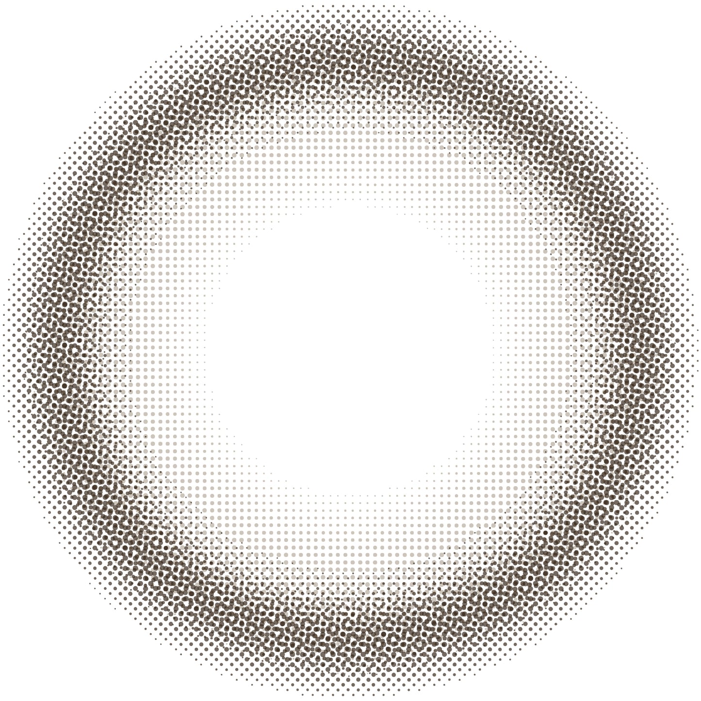 ENVIE Brun Choco natural brown color contacts close up lens details