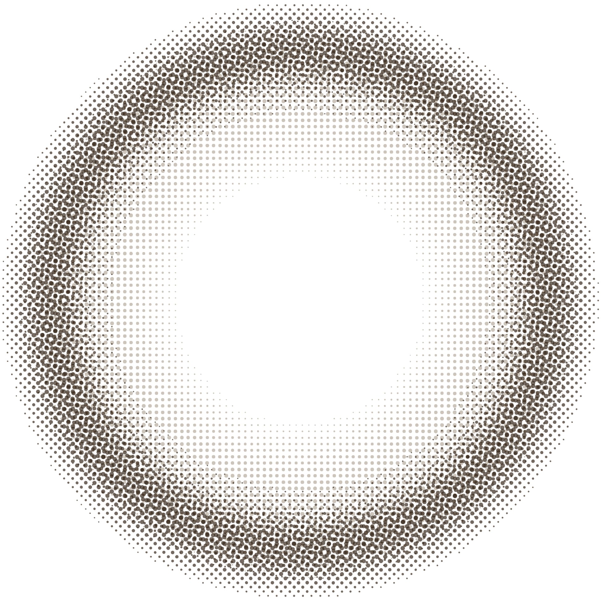 ENVIE Brun Choco natural brown color contacts close up lens details