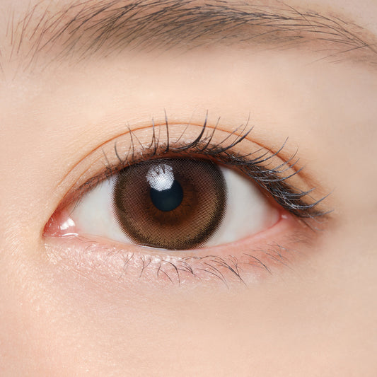 Mifée Éclat Brown Daily Color Contact Lenses Canada