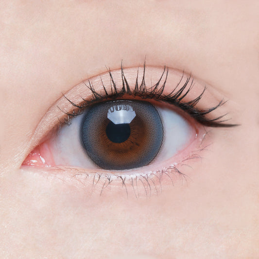 OH SHY 1 Day Colour Contact Lenses Canada