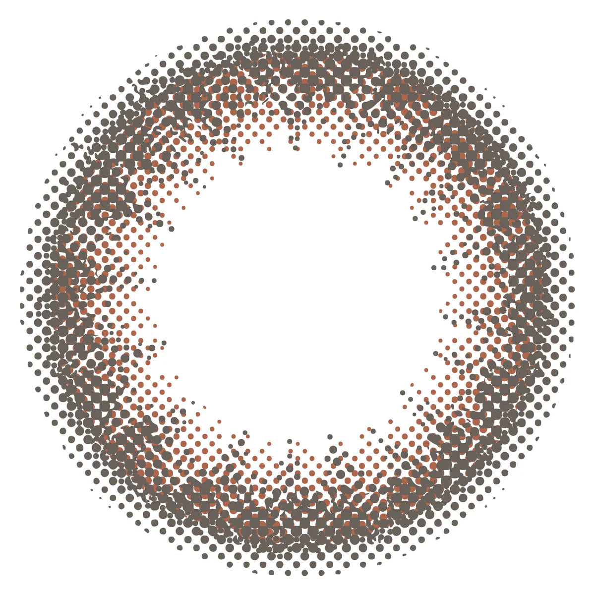 ENVIE Maroon Black contact lens close up classic black tone