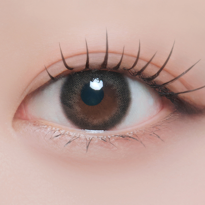 MiiYuu Noir Brown Daily Color Contact Lenses Canada